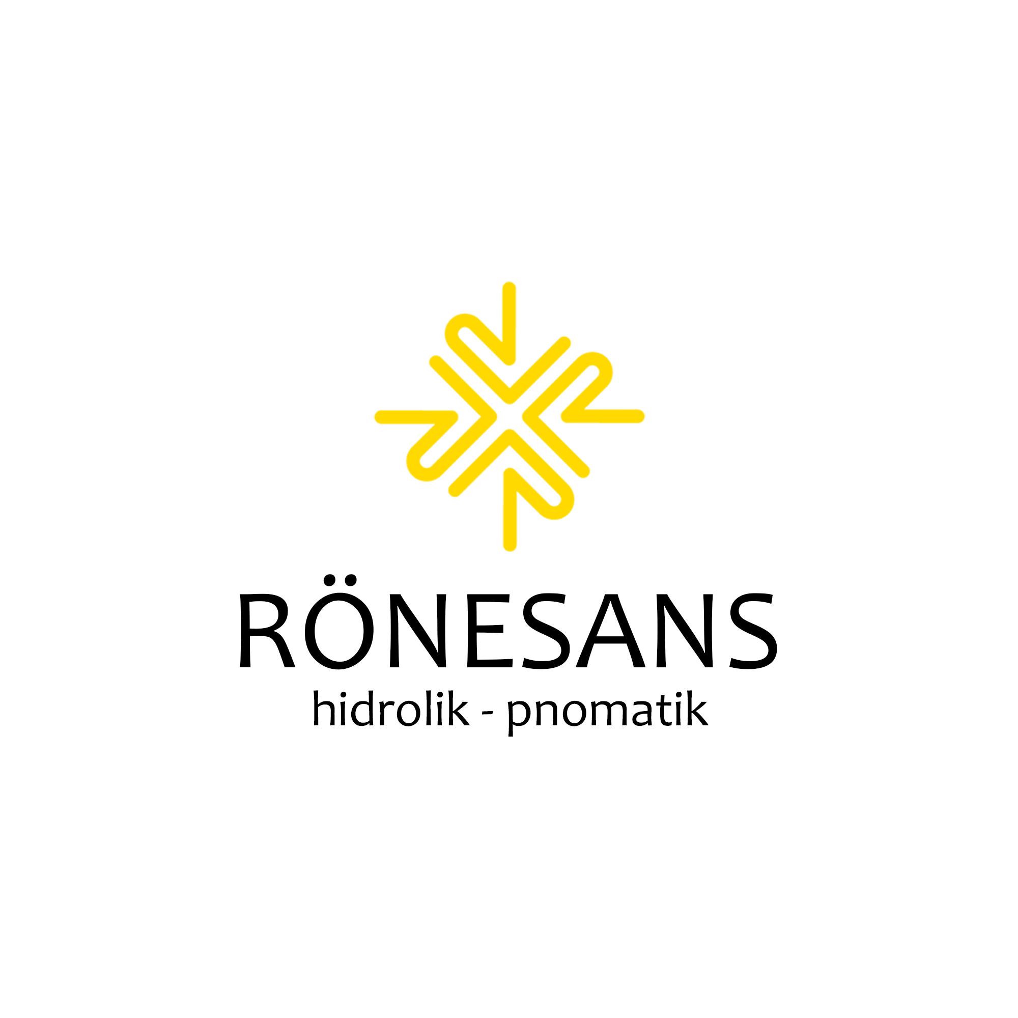 Rönesans Hidrolik Logo Tasarımı