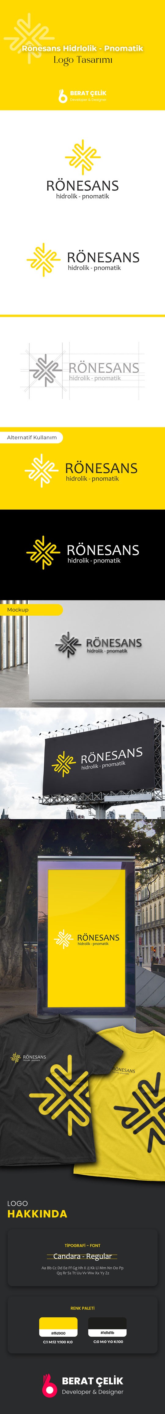 Rönesans Hidrolik Logo Tasarımı